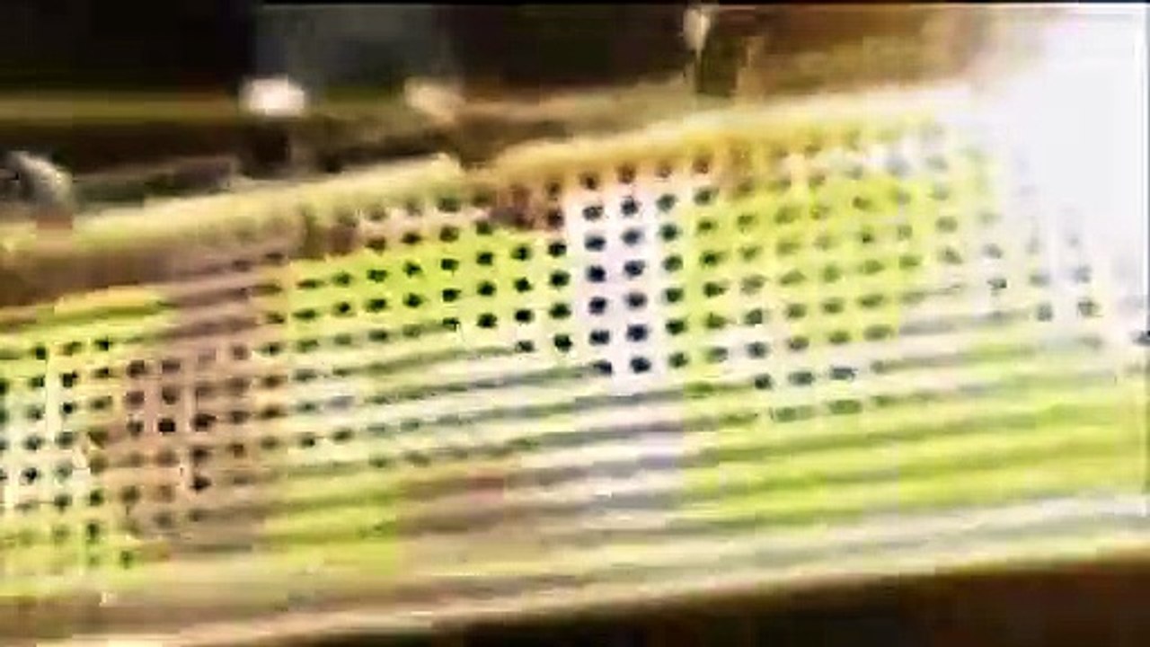 Celebrity Name Game - Se1 - Ep59 HD Watch