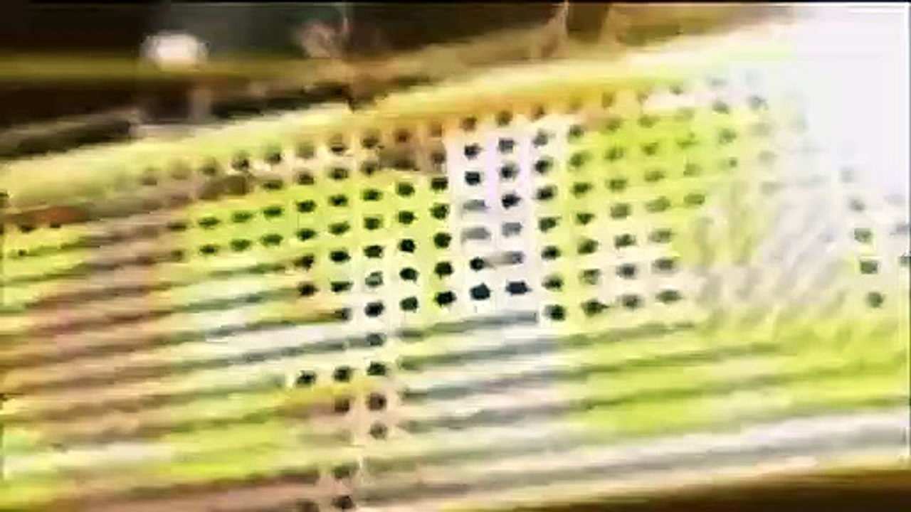 Celebrity Name Game - Se1 - Ep60 HD Watch