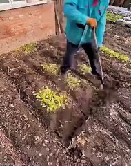 Kur do shpetosh nga gruaja e te shohesh ndeshjen rehat