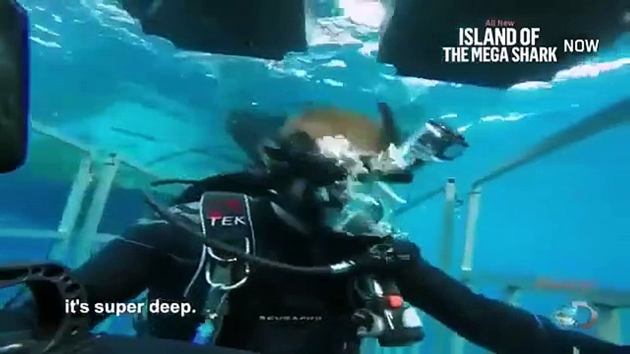 Shark Week - Se28 - Ep03 HD Watch