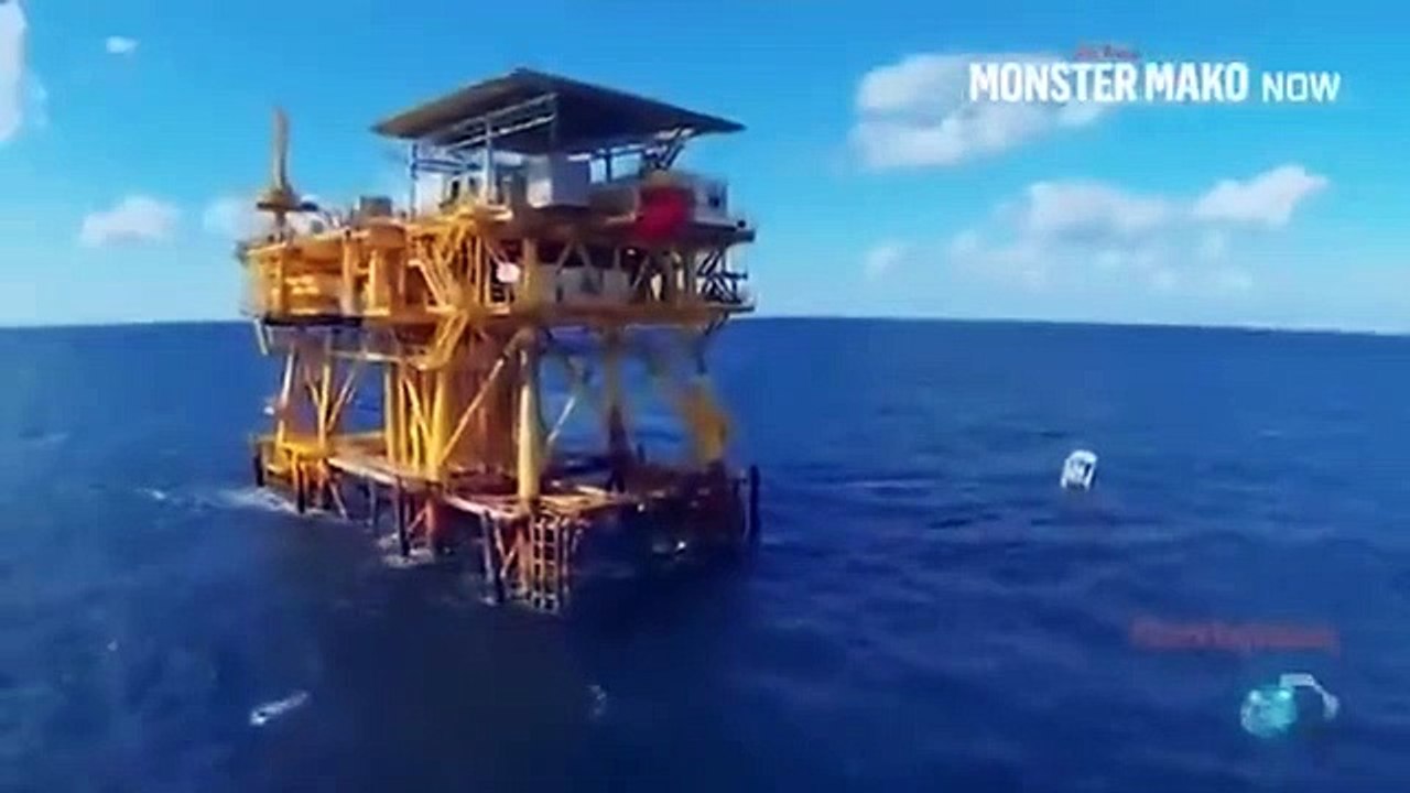 Shark Week - Se28 - Ep04 HD Watch