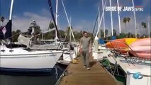 Shark Week - Se28 - Ep05 HD Watch