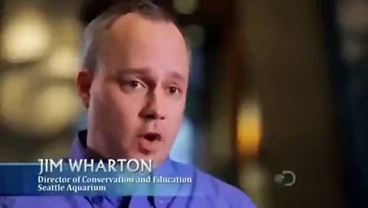 Shark Week - Se28 - Ep10 HD Watch