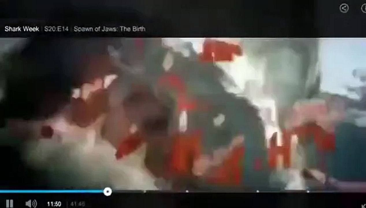 Shark Week - Se28 - Ep11 HD Watch