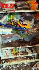 3 yıldır açılmayan buzdolabını temizlediği anlar sosyal medyada viral oldu