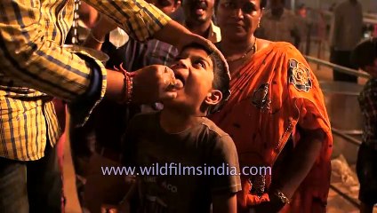 Hyderabad’s “Fish Prasadam” for treatment of Asthma