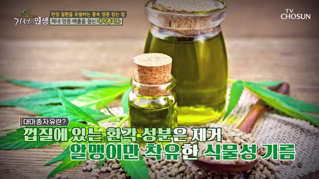 체내에 쌓여있는 염증 배출을 돕는 『 대마종자유 』 TV CHOSUN 20230128 방송