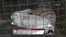 Mahigit 80 kuneho, inaalagaan at ibinebenta ng mga inmate sa Mandaluyong City Jail | 24 Oras Weekend