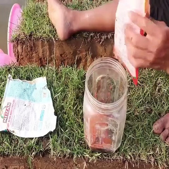 creative fish trap