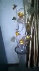 Ce qu'il découvre dans un appartement loué sur Airbnb est inquiétant... Caméra cachée