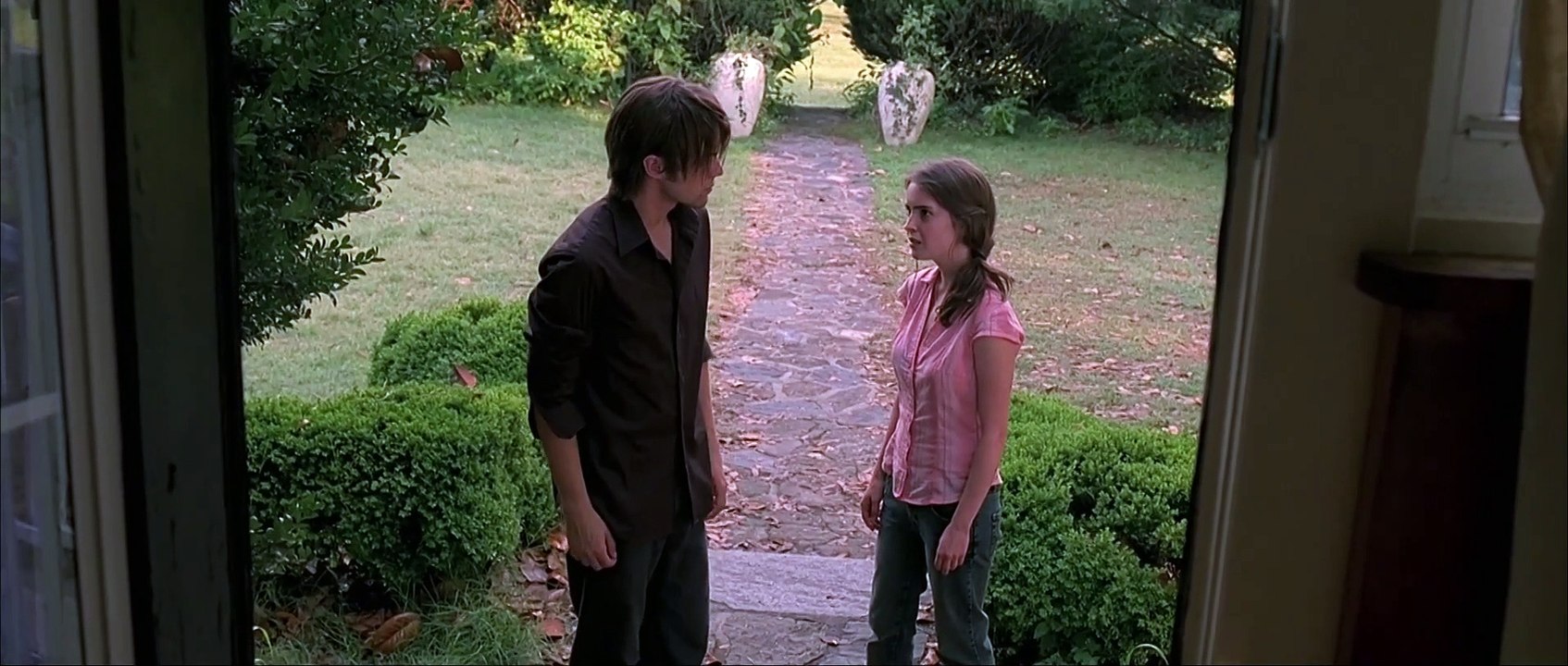 Desde Adentro 2008 Español Latino - From Within