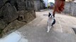 Walking down the back alleys near the fishing port is fun as the cats come to you