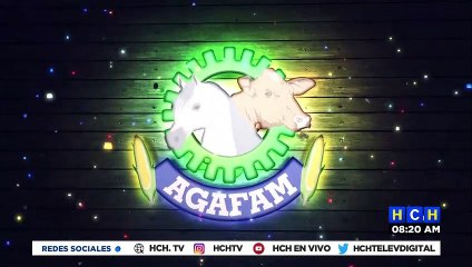 Hermosos ejemplares y mucha diversión hoy en La Gran Feria Ganadera "AGAFAM" en TGU