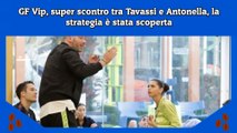 GF Vip, super scontro tra Tavassi e Antonella, la strategia è stata scoperta