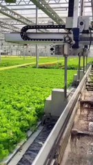 New Technology Techshahin24