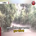 बाघ-बाघिन की लड़ाई का वीडियो