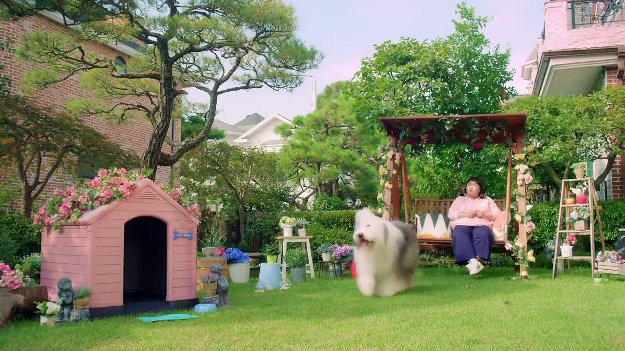 The Miracle - Ep02 HD Watch