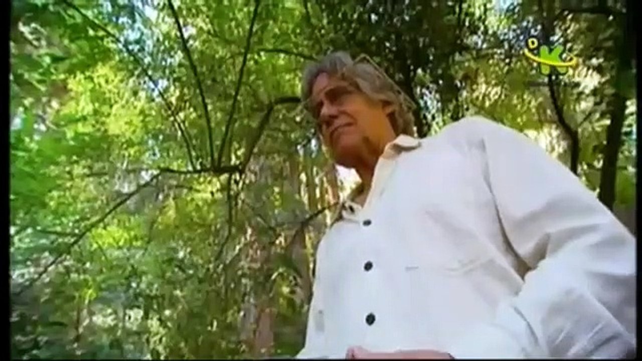 Head Rush - Se1 - Ep16 HD Watch