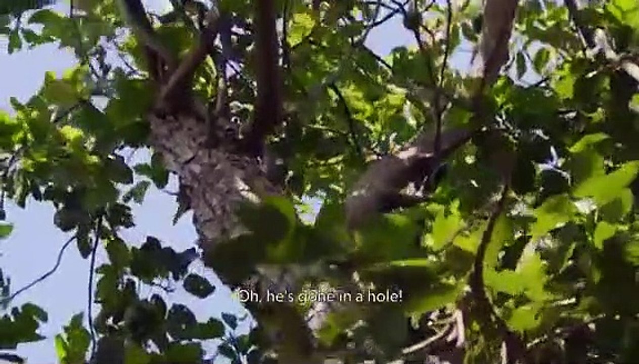 Snake City - Se6 - Ep03 - Snakes and Sewage HD Watch