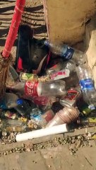 अलवर में शिक्षा के मंदिर में मिली शराब की बोतले,देखे वीडियो