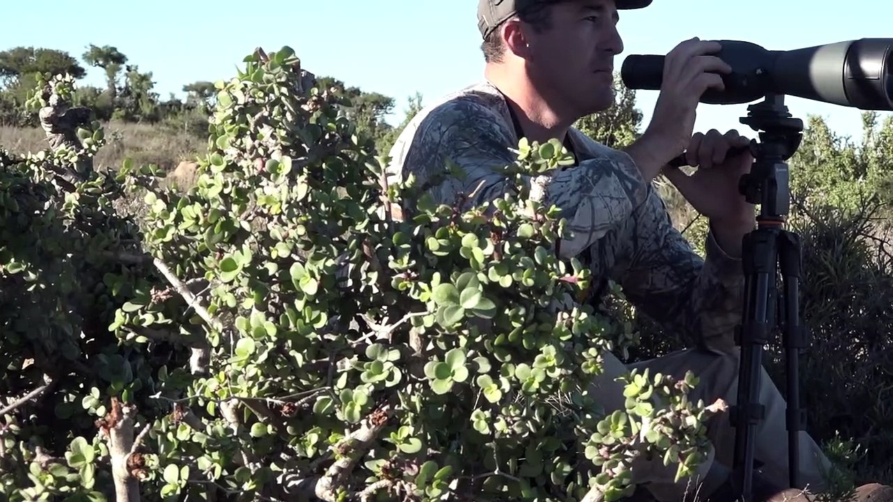 Kudu Hunting south Africa _ Nick Bowker Hunting