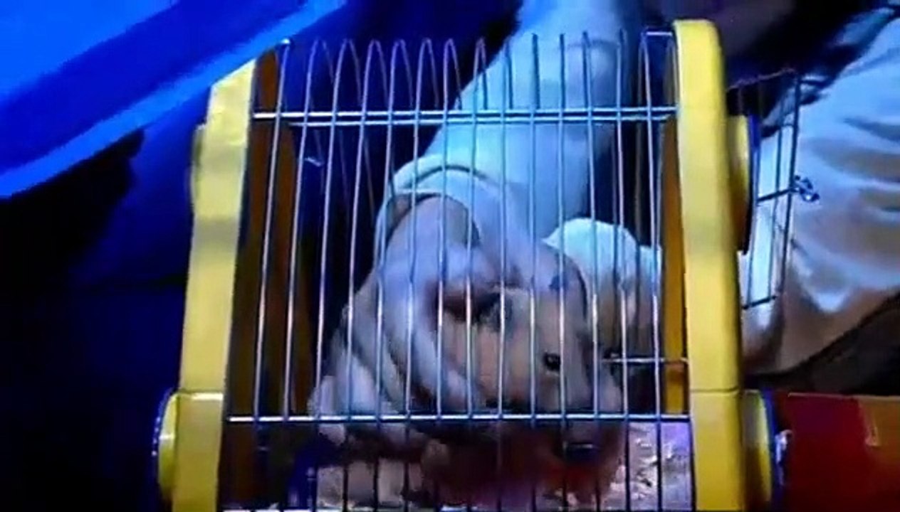 Sugar Rush - Se1 - Ep03 HD Watch