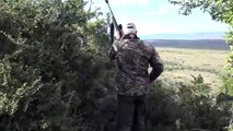 Warthog hunting with Nick Bowker Hunting - African hunting Safari