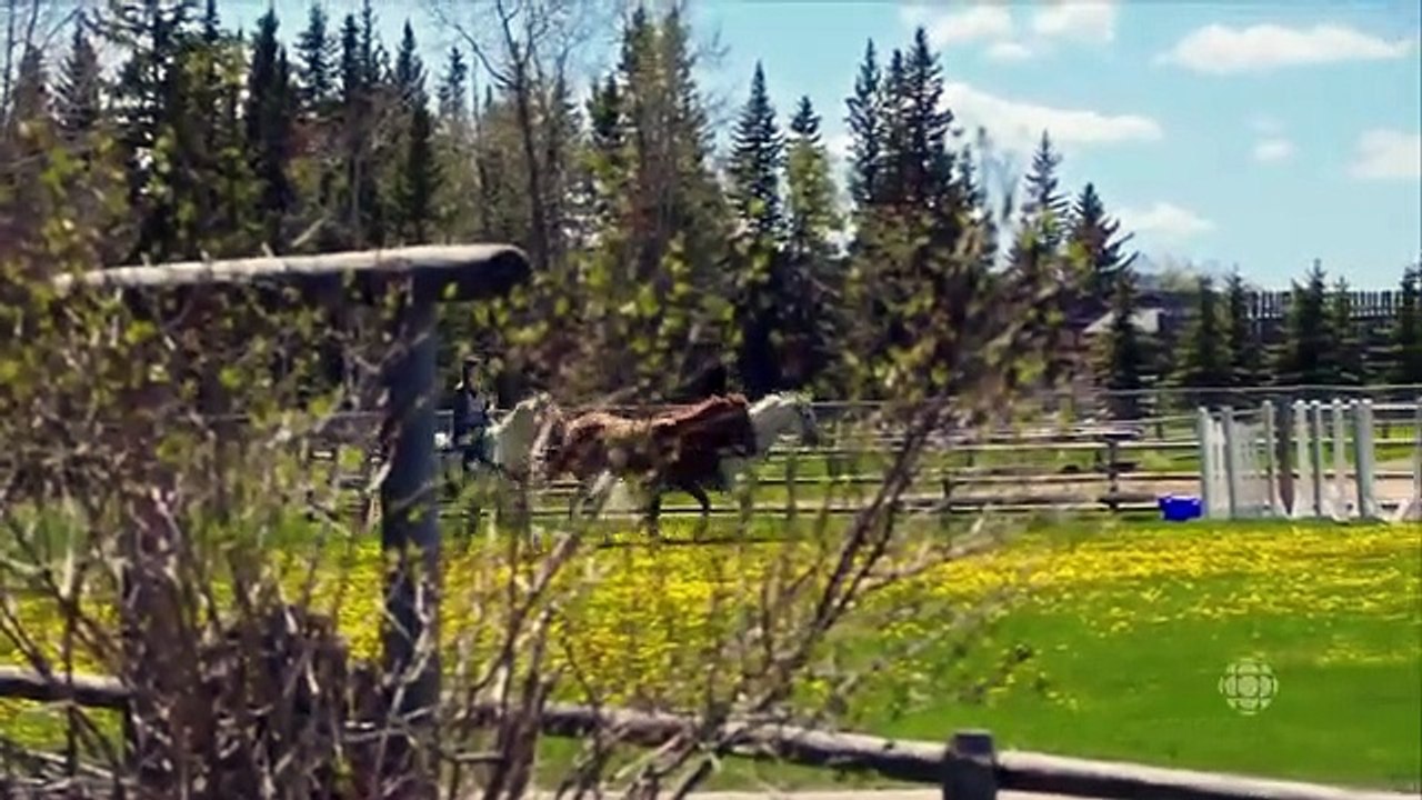 Heard It Through The Grapevine - Ep01 HD Watch