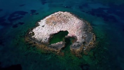 Resiino (feat. SUZO) - Let Me Go - Music Hitkend