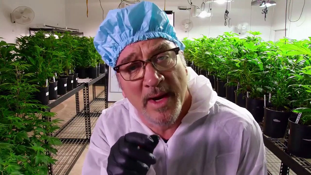 Growing Belushi - Se1 - Ep01 - The Dope of Oregon HD Watch