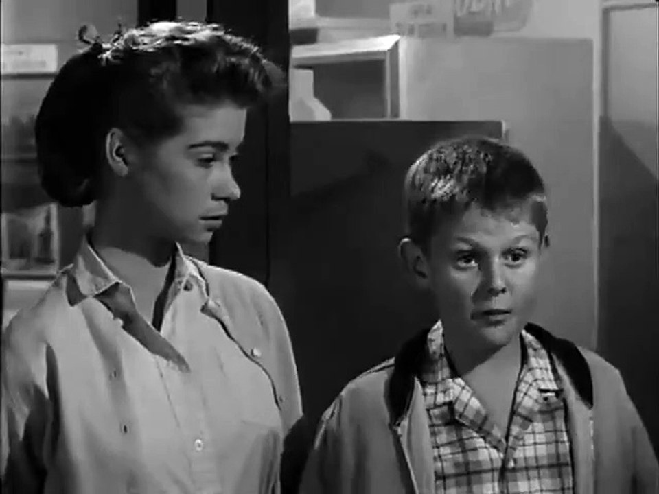 The Real McCoys - Se3 - Ep19 HD Watch