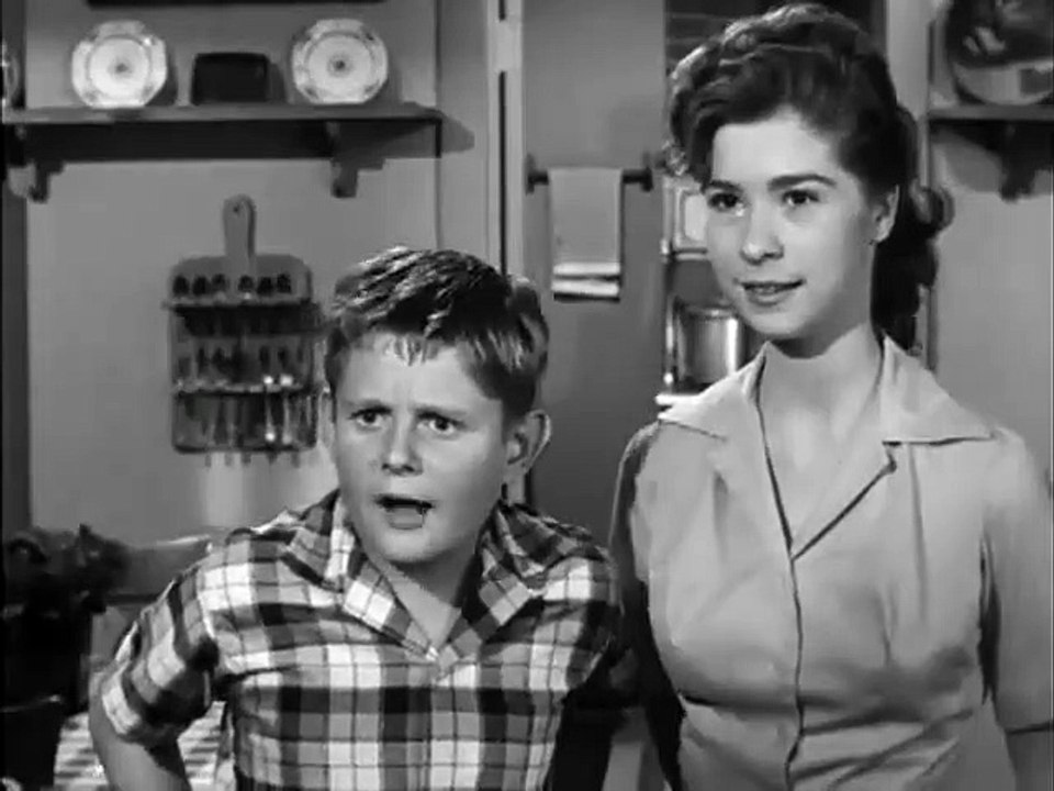 The Real McCoys - Se3 - Ep29 HD Watch