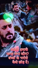 Shahrukh Khan and Salman Khan, Pathan movie