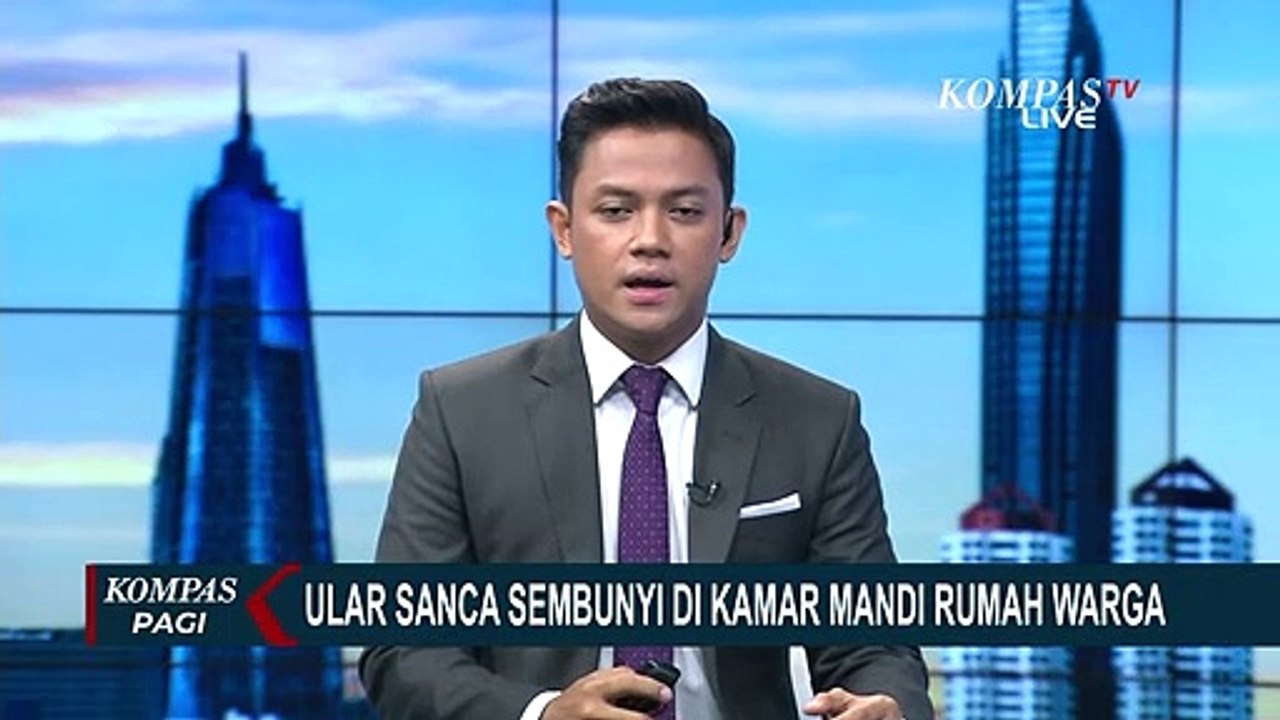 Sembunyi di Atap Kamar Mandi Warga, Ular Sanca Sepanjang 1,5 Meter Dievakuasi!