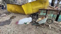 Ucrania | Combates 'encarnizados' en Vuhledar y más de diez muertos en bombardeos rusos