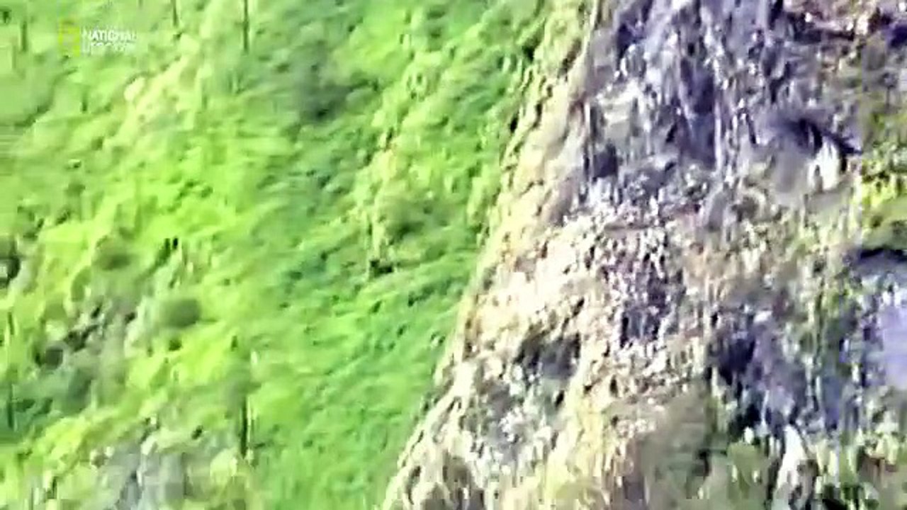 Air Emergency - Se17 - Ep10 HD Watch