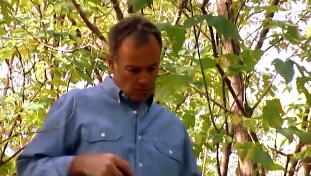 Air Emergency - Se2 - Ep04 HD Watch