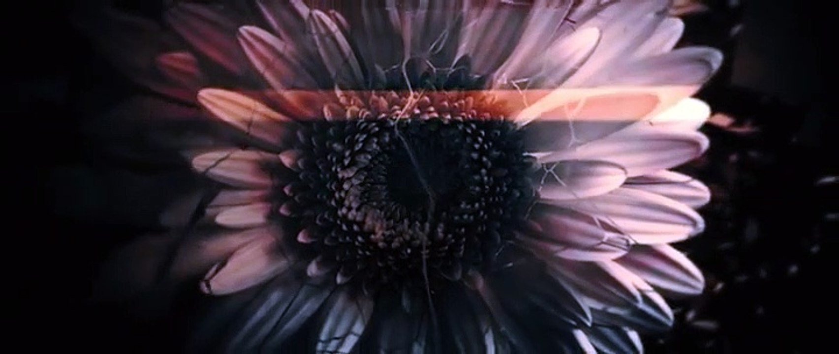 Close to Me - Se1 - Ep02 Unravelling HD Watch