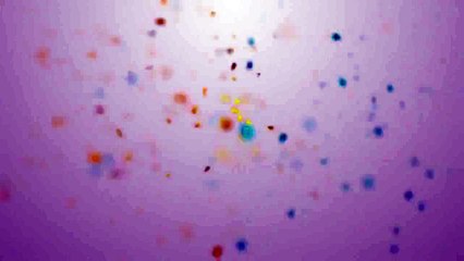 Lovers in Bloom - Ep84 HD Streaming 🌸