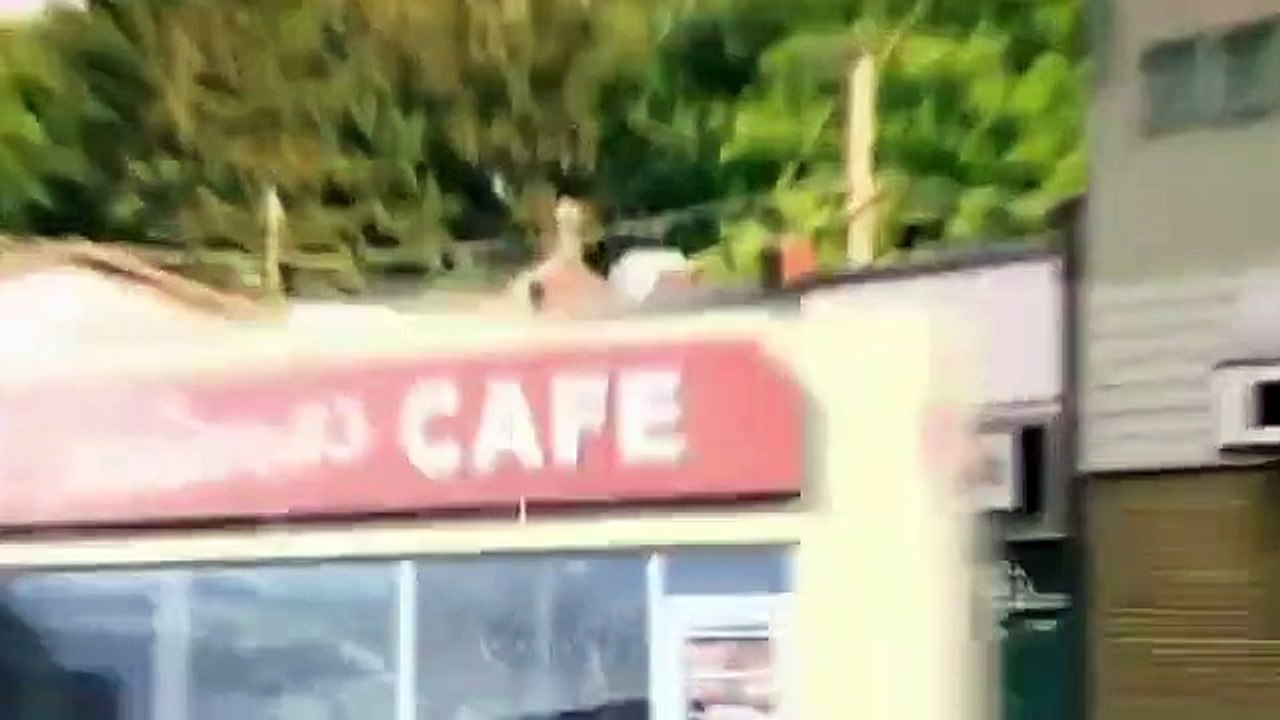 Little Mosque on the Prairie - Se5 - Ep02 HD Watch