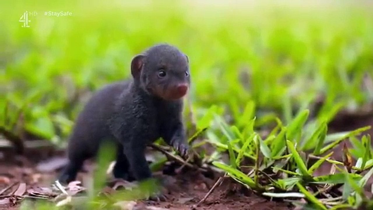 Work on the Wild Side - Se1 - Ep13 HD Watch