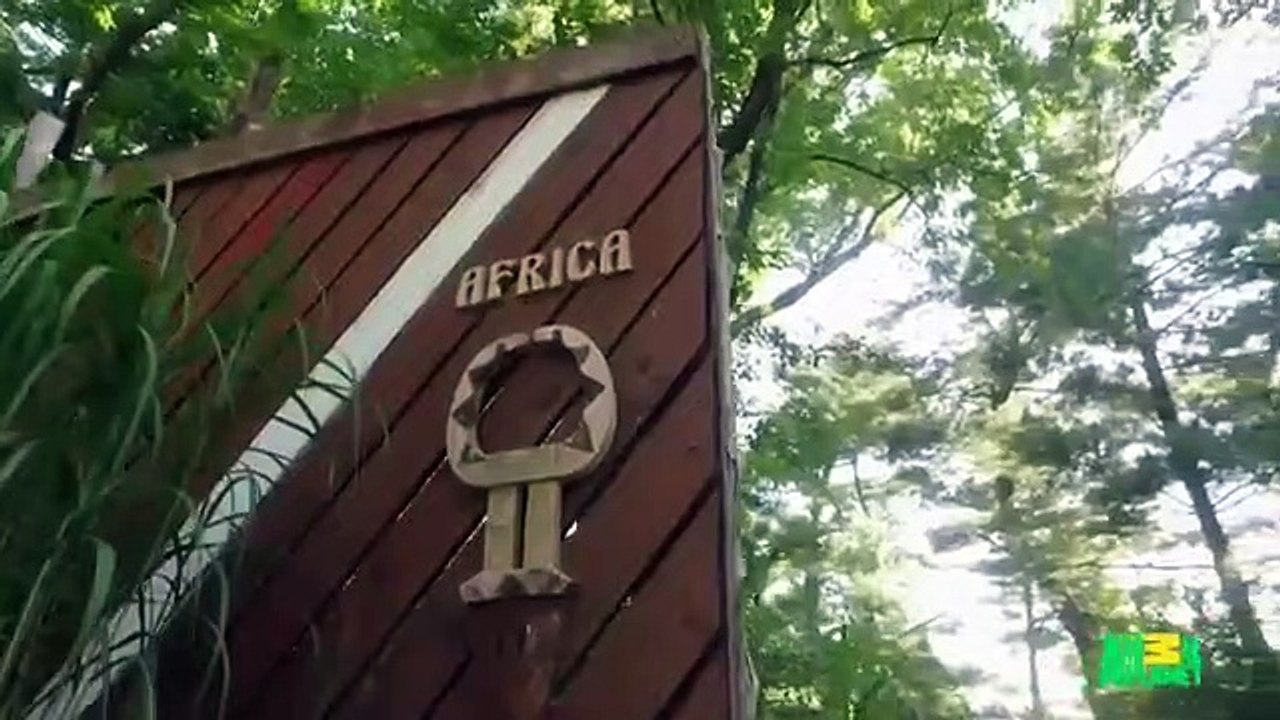 The Zoo (2017) - Se2 - Ep08 - Miracle Cub HD Watch