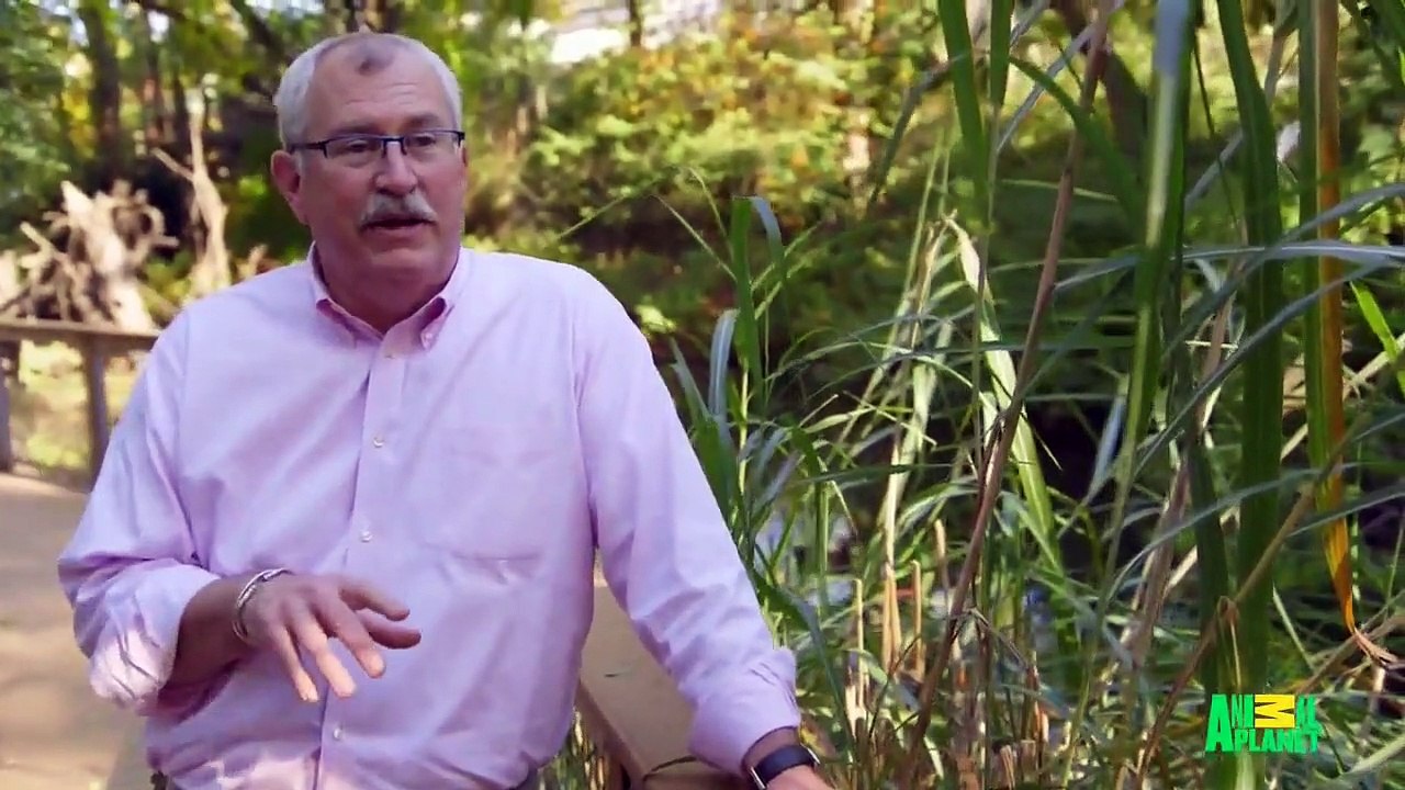 The Zoo (2017) - Se2 - Ep09 HD Watch