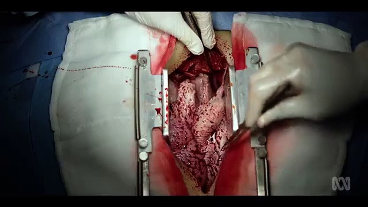 Pulse (AU) - Se1 - Ep02 HD Watch