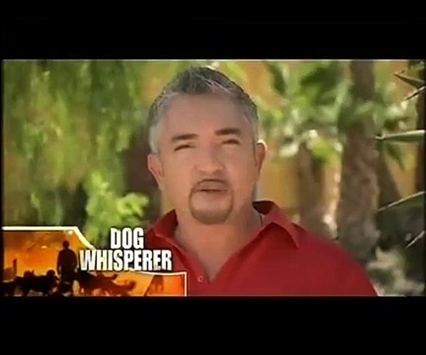 Dog Whisperer with Cesar Millan - Se6 - Ep02 HD Watch