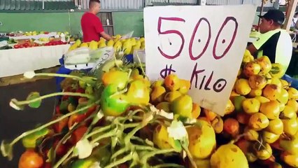 Jungle Life - Se1 - Ep01 - Going Off the Grid HD Watch