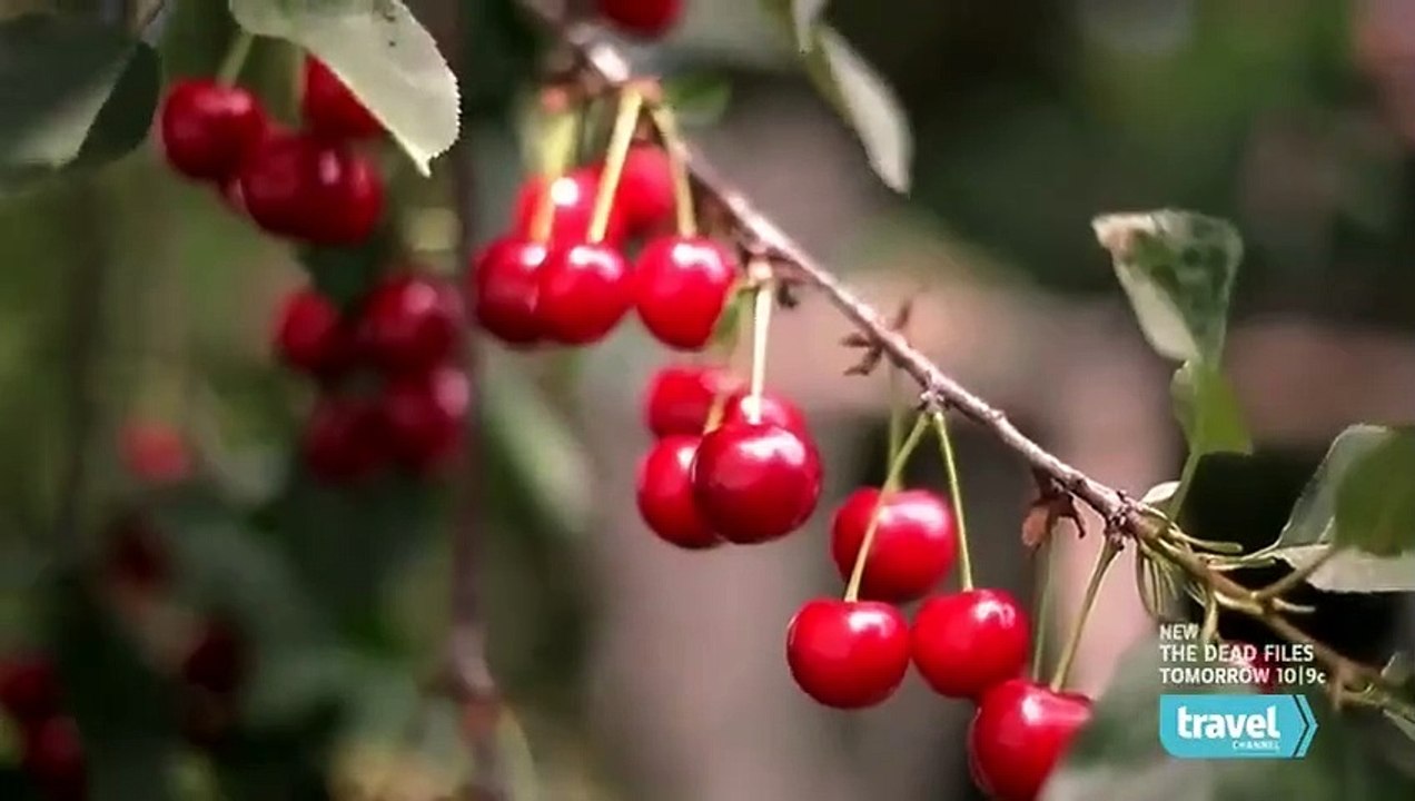 Mysteries at the Museum - Se5 - Ep12 HD Watch