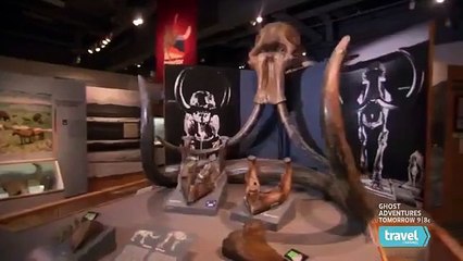 Mysteries at the Museum - Se6 - Ep11 HD Watch