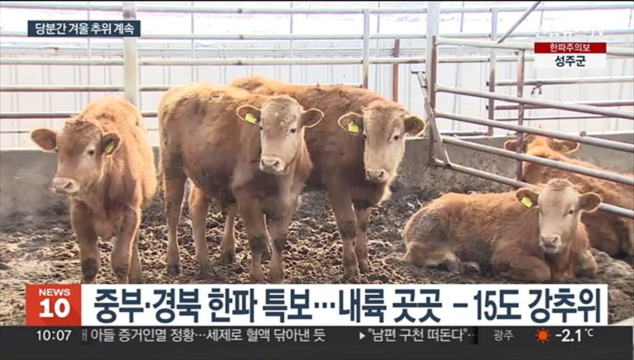 극심한 한파 오늘 낮 풀리지만…한겨울 추위는 계속