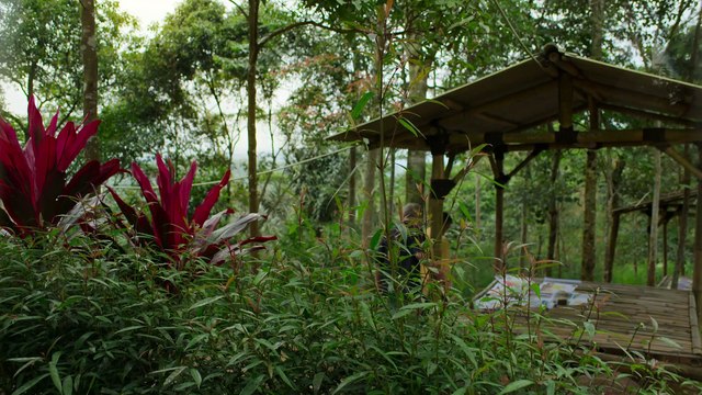 Los apocalipsis del pasado 1/8 - Érase una vez un diluvio